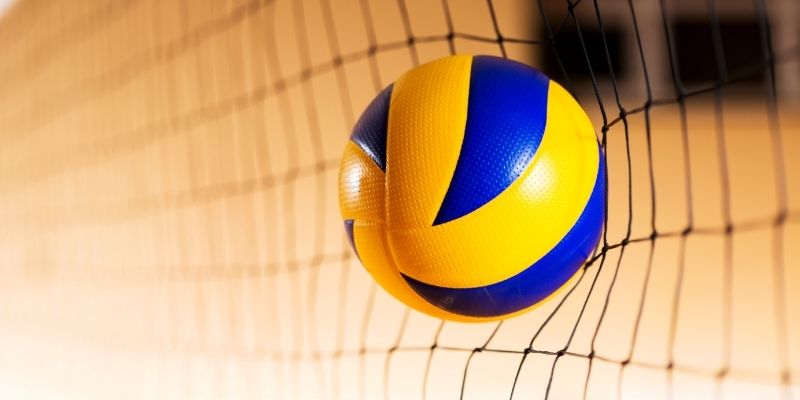 Cá cược bóng chuyền BONGVIP là xu hướng gần đây