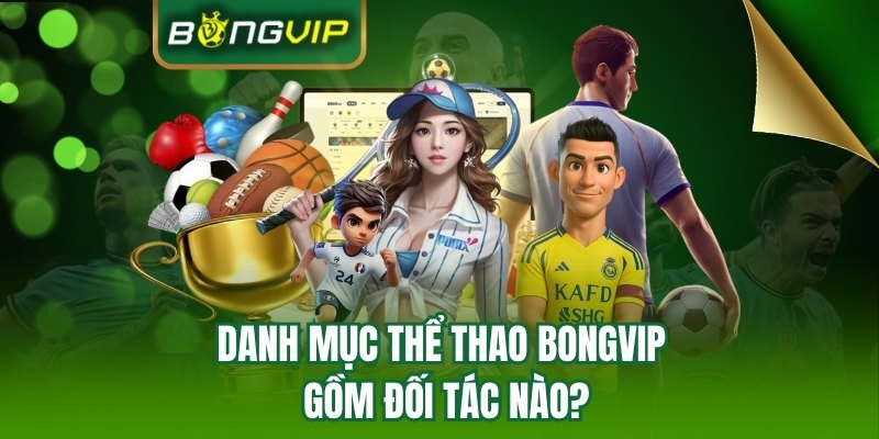 Các đối tác uy tín của BONGVIP 