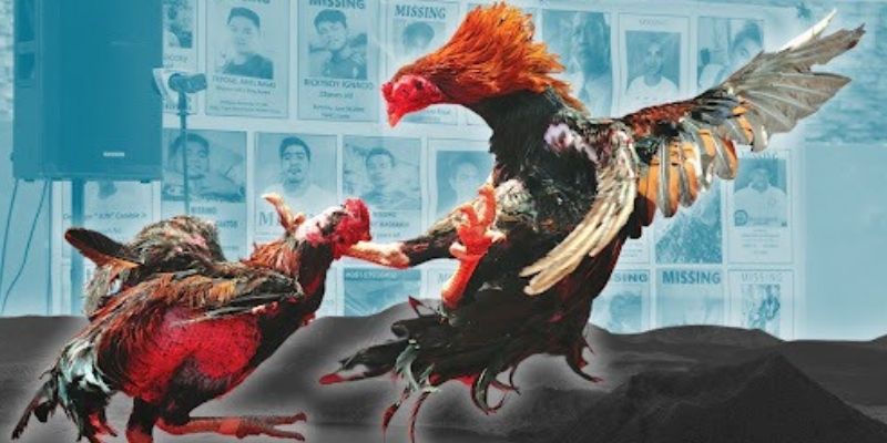 Đá gà Bongvip là chuyên mục cá cược ăn khách