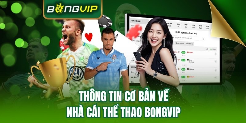 Những thông tin cần biết về BONGVIP 